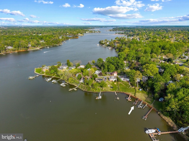bird's eye view with a water view and a forest view