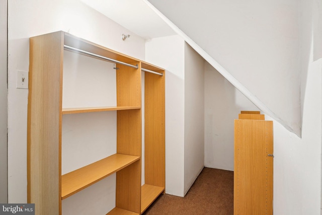 1301 N Courthouse Rd Unit 1812, Arlington, VA 22201 - spacious closet with carpet flooring