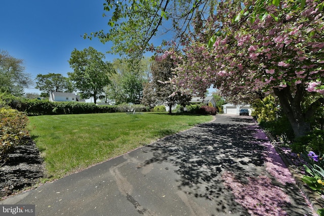 3703 Spruce St, Bristol, PA 19007 - view of road with driveway