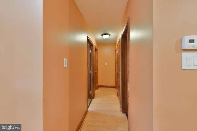 3703 Spruce St, Bristol, PA 19007 - corridor with light wood-type flooring
