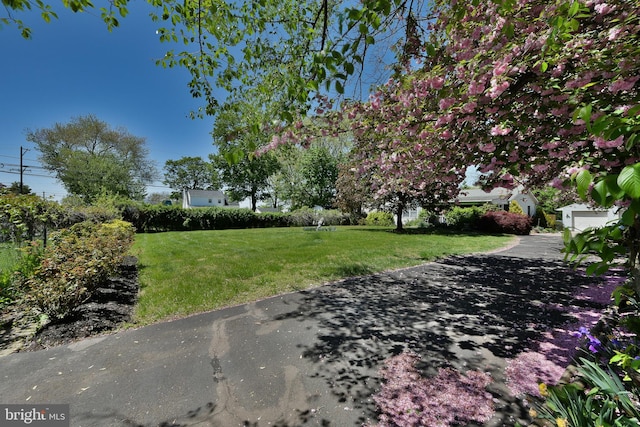 3703 Spruce St, Bristol, PA 19007 - view of yard