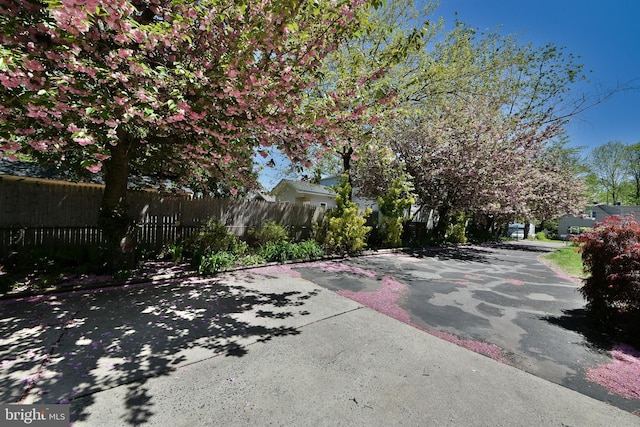 3703 Spruce St, Bristol, PA 19007 - view of street