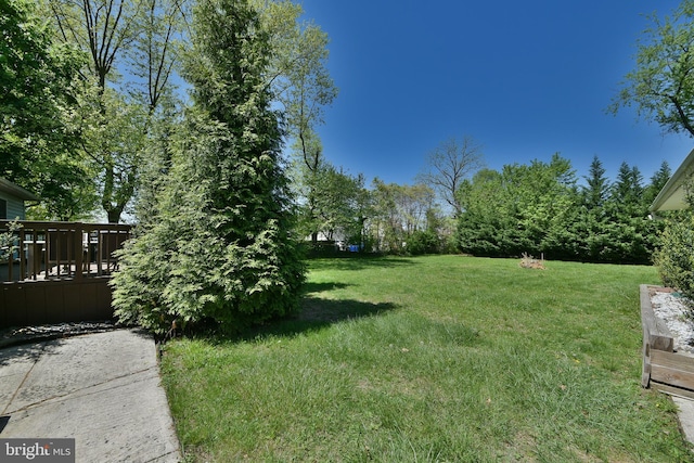 3703 Spruce St, Bristol, PA 19007 - view of yard featuring a deck