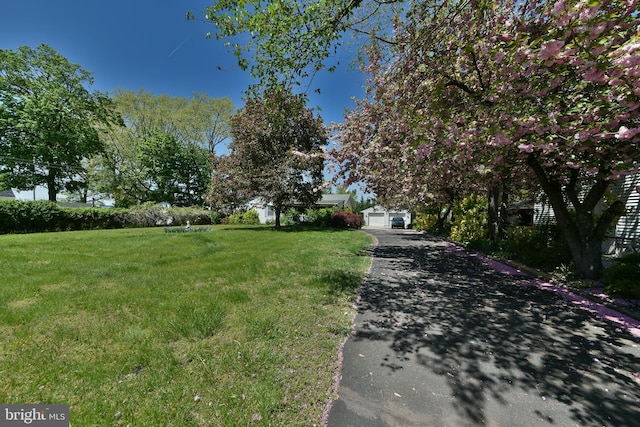 3703 Spruce St, Bristol, PA 19007 - view of street featuring driveway