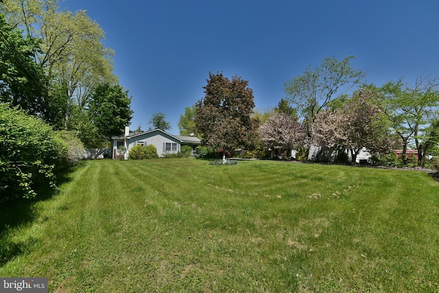 3703 Spruce St, Bristol, PA 19007 - view of yard