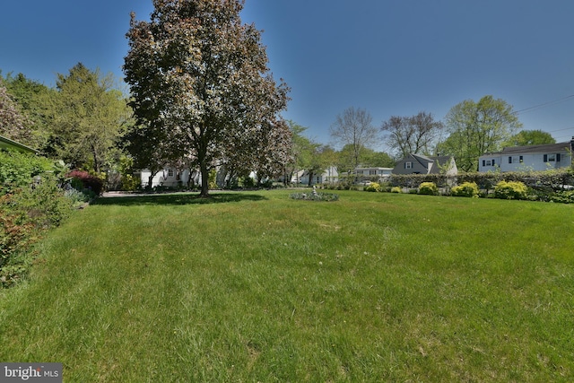 3703 Spruce St, Bristol, PA 19007 - view of yard