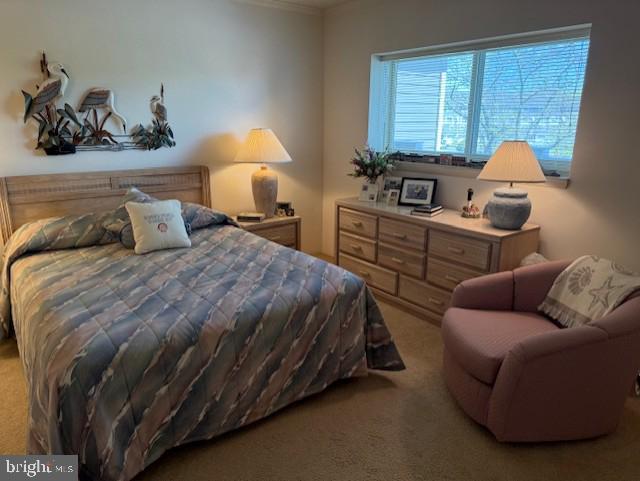 423 14th St Unit 205K, Ocean City, MD 21842 - bedroom with crown molding and carpet floors