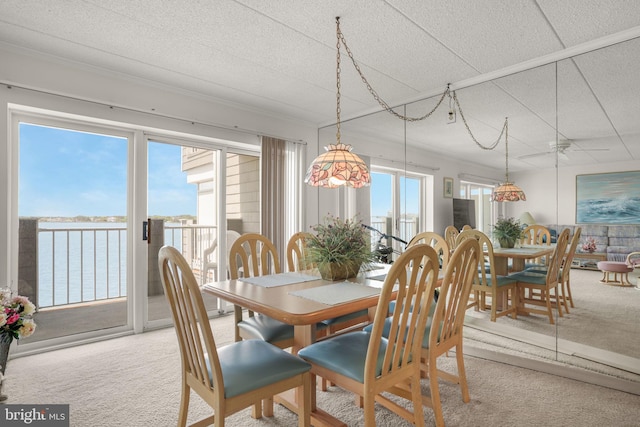 423 14th St Unit 205K, Ocean City, MD 21842 - dining space featuring carpet flooring and crown molding