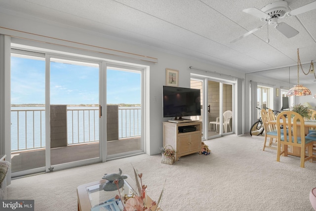 423 14th St Unit 205K, Ocean City, MD 21842 - living area featuring carpet flooring, a textured ceiling, and ceiling fan