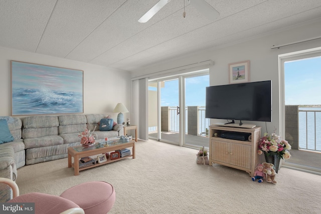 423 14th St Unit 205K, Ocean City, MD 21842 - living area featuring carpet flooring, a textured ceiling, and a ceiling fan