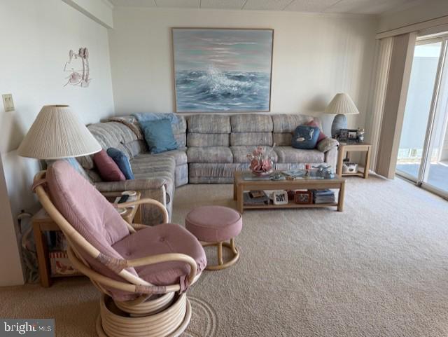 423 14th St Unit 205K, Ocean City, MD 21842 - view of carpeted living area