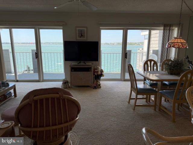 423 14th St Unit 205K, Ocean City, MD 21842 - dining space with ceiling fan and carpet flooring