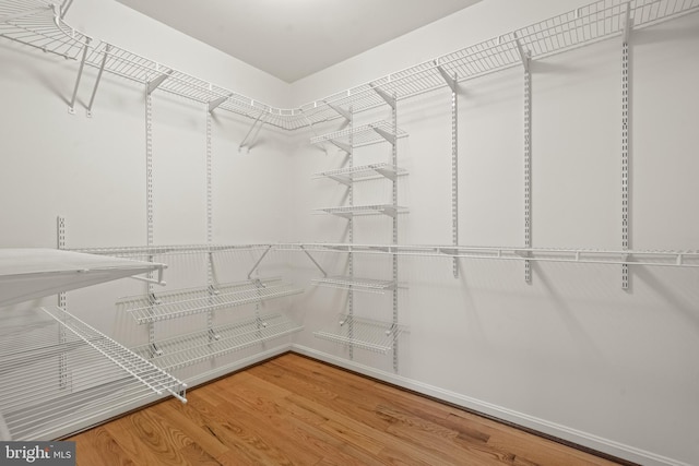 walk in closet featuring wood finished floors