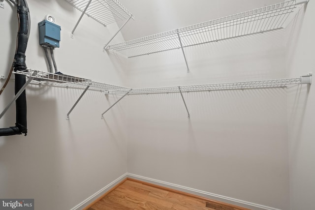 spacious closet featuring light wood finished floors