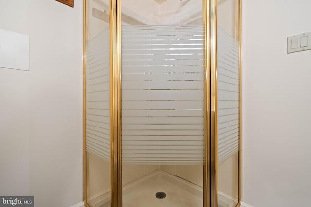 interior details featuring a stall shower