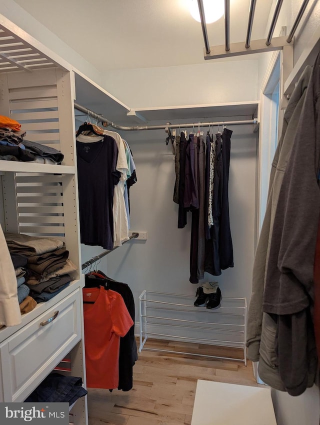 10995 Alcorn Ln, Waldorf, MD 20603 - walk in closet featuring light wood-type flooring