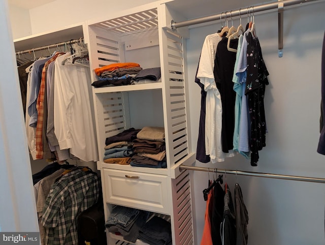 10995 Alcorn Ln, Waldorf, MD 20603 - view of walk in closet