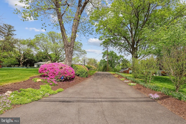 surrounding community with a lawn