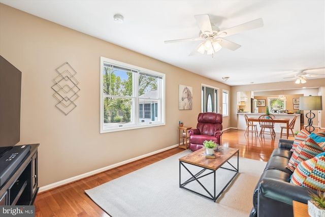 living room featuring baseboards, ceiling fan, wood finished floors, and a wealth of natural light