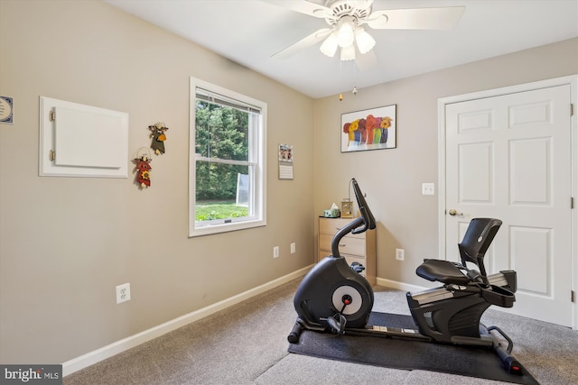 workout room with baseboards, a ceiling fan, and carpet flooring