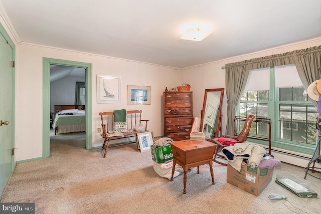 sitting room with crown molding and carpet
