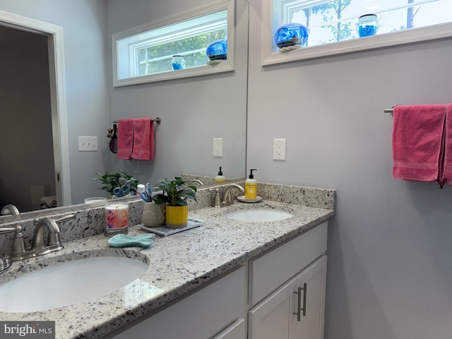 14273 Brandy Ln, Georgetown, DE 19947 - bathroom featuring plenty of natural light and double vanity