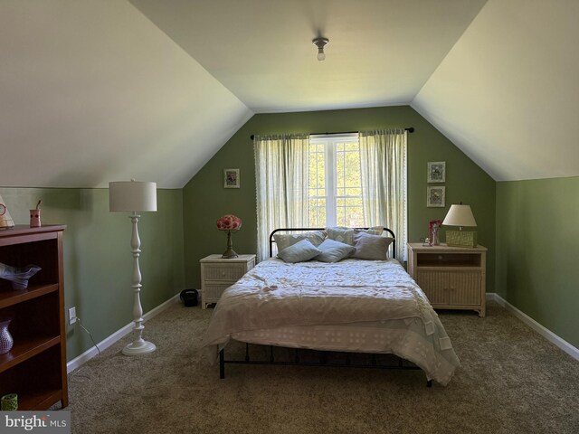 14273 Brandy Ln, Georgetown, DE 19947 - carpeted bedroom with lofted ceiling and baseboards
