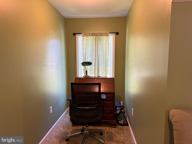 14273 Brandy Ln, Georgetown, DE 19947 - carpeted office with baseboards