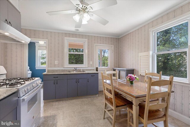 kitchen with a sink, plenty of natural light, gas range gas stove, gray cabinetry, and ornamental molding