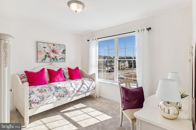 bedroom with carpet floors