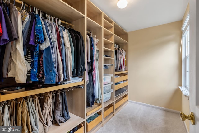 9804 Luck Penny Ct, Bristow, VA 20136 - spacious closet featuring carpet flooring