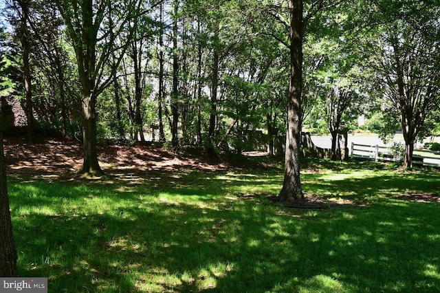 9804 Luck Penny Ct, Bristow, VA 20136 - view of yard