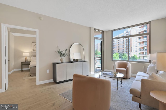 3600 S Glebe Rd Unit 321W, Arlington, VA 22202 - living room featuring light wood-style flooring and baseboards