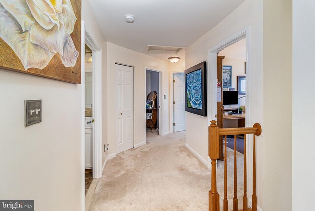 corridor featuring baseboards, attic access, and carpet floors