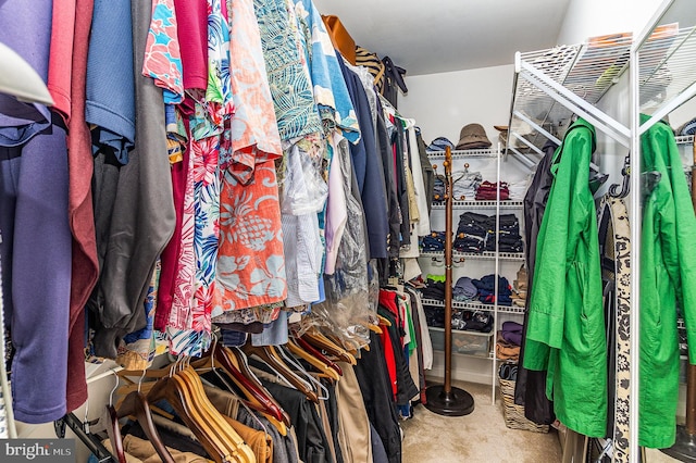 view of spacious closet