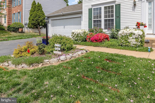view of yard featuring a garage and aphalt driveway