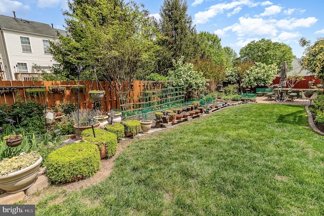 view of yard featuring a patio, a vegetable garden, and fence