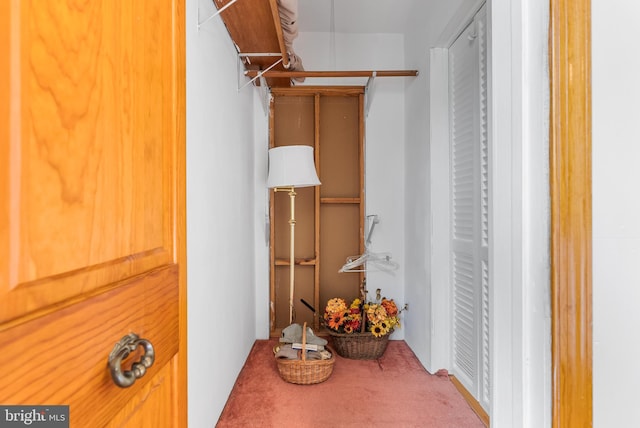 1822 Clearwood Rd, Baltimore, MD 21234 - walk in closet featuring carpet floors