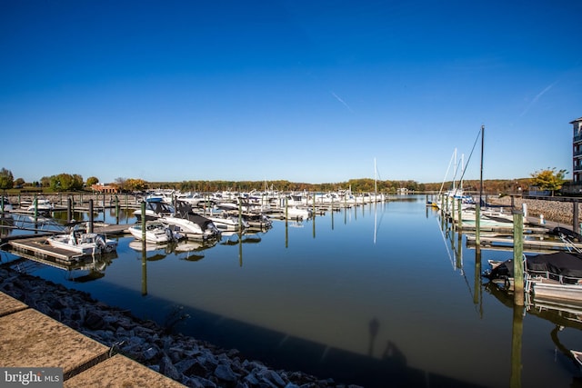 525 Belmont Bay Dr Unit 405, Woodbridge, VA 22191 - dock area with a water view