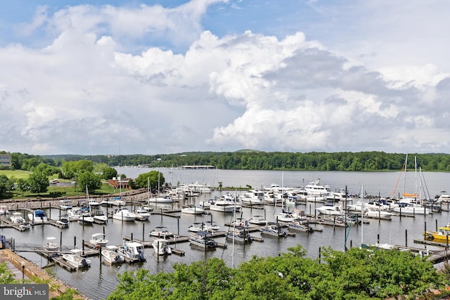 525 Belmont Bay Dr Unit 405, Woodbridge, VA 22191 - view of water feature featuring a view of trees and a dock