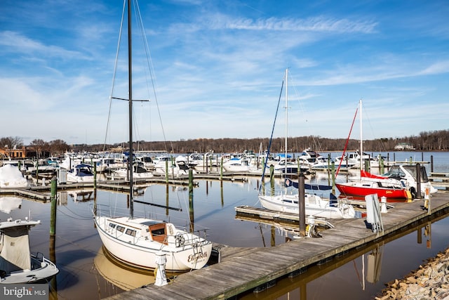 525 Belmont Bay Dr Unit 405, Woodbridge, VA 22191 - view of dock featuring a water view