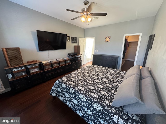 bedroom featuring a ceiling fan, wood finished floors, and a spacious closet