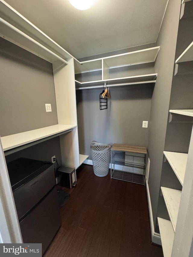 spacious closet with wood finished floors