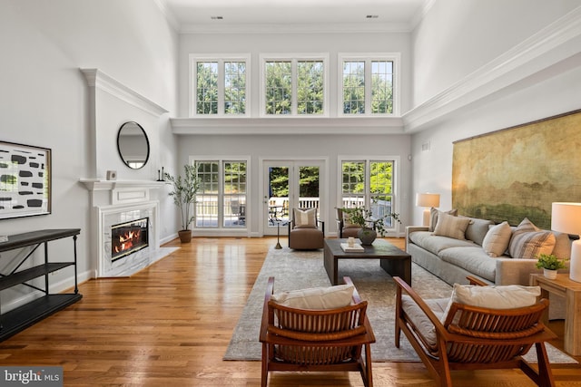 1418 Woodhurst Blvd, Mclean, VA 22102 - living area featuring a high ceiling, a premium fireplace, wood finished floors, and ornamental molding