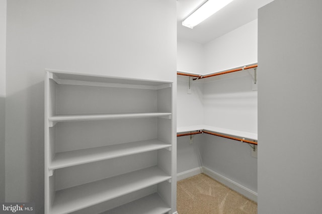 1418 Woodhurst Blvd, Mclean, VA 22102 - walk in closet featuring carpet floors
