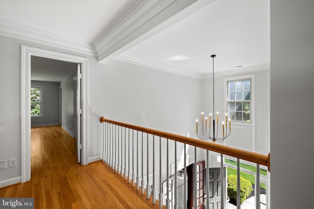 1418 Woodhurst Blvd, Mclean, VA 22102 - hall featuring a chandelier, plenty of natural light, wood finished floors, ornamental molding, and baseboards