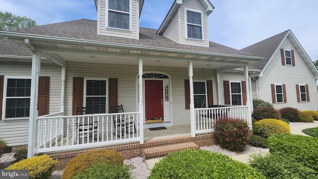 view of front facade with a shingled roof and covered porch