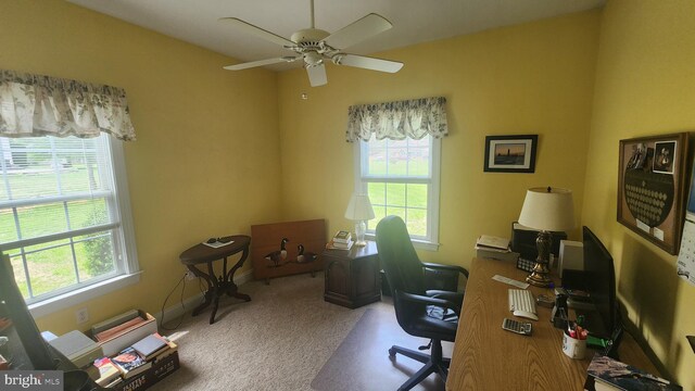 carpeted office with a ceiling fan and plenty of natural light