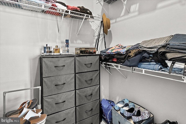 view of spacious closet
