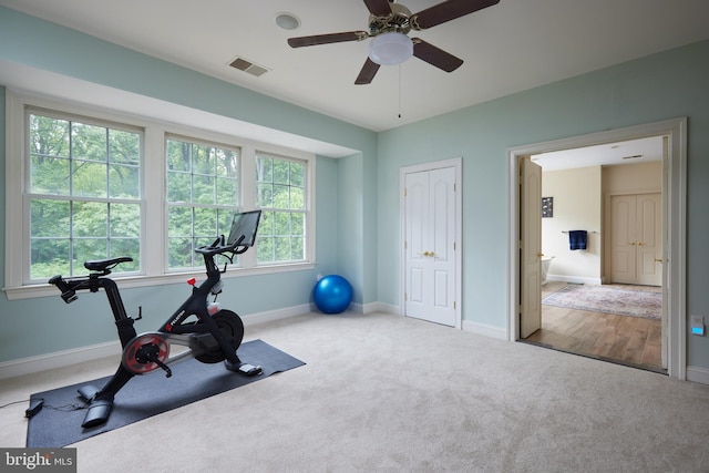 15410 River Rd, Darnestown, MD 20874 - exercise room featuring carpet flooring, baseboards, and ceiling fan